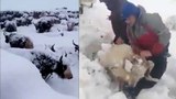  བོད་ཤར་ཕྱོགས་མཚོ་སྔོན་དང་ཟི་ཁྲོན་ཁུལ་དུ་ཁ་བ་ཤུགས་ཆེ་བབས་པ།
