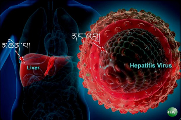 མཆིན་པའི་གཉན་ཚད་Hepatitis Bནད་འབུ།