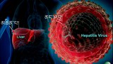 མཆིན་པའི་གཉན་ཚད་Hepatitis Bནད་འབུ།