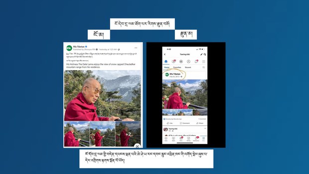 ངོ་དེབ་དྲ་ལམ་ཐོག་པར་རིགས་རྫུན་བཟོ།