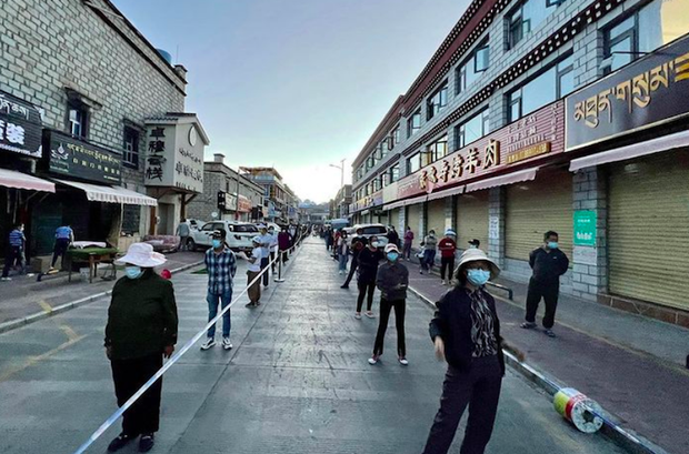 བོད་ནང་གི་ས་ཕྱོགས་གང་སར་ཏོག་དབྱིབས་ནད་ཡམས་ཁྱབ་གདལ་ཤུགས་ཆེན་འགྲོ་བཞིན་ཡོད་པ།