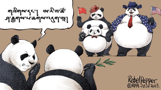 ཨ་རིའི་རྒྱལ་སའི་རྒྱལ་ཡོངས་གཅན་གཟན་ཁང་ནང་གི་དོམ་ཁྲ་ཕྱིར་རྒྱ་ནག་ལ་བཏང་འདུག