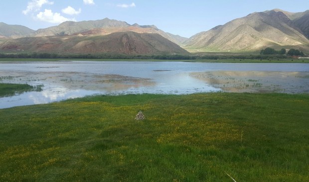 མཐོ་སྒང་བོད་ཀྱི་རྩ་ཐང་དང་གཙང་པོ། 
