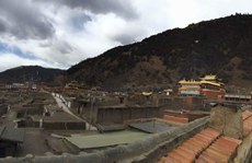 ཅོ་ནེ་བཀྲིས་ཆོས་འཁོར་གླིང་དགོན་པ། ༢༠༡༥