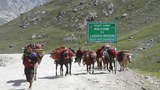 རྒྱ་གར་ལ་དྭགས། ༢༠༡༢