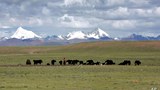 འདི་ལོ་བོད་ནང་གི་གནམ་གཤིས་དྲོད་ཚད་ཚ་ཤོས་དེ་ཆགས་ཡོད་འདུག