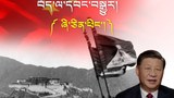 རྒྱ་ནག་དམར་ཤོག་གཞུང་འདི་བཙུགས་ནས་ལོ་ངོ་༧༥དུས་ཚོད་ནང་གི་བོད་དང་བོད་མིའི་གནས་སྟངས། ཞི་ཅིན་ཕིང་གི་དུས་སྐབས།
