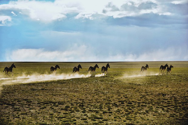 བྱང་ཐང་རང་བྱུང་སྲུང་སྐྱོབ་ཀྱི་ས་ཁུལ་བརྒྱུད་འགྲོ་བསྐྱོད་བྱ་རྒྱུ་བཀག་སྡོམ།