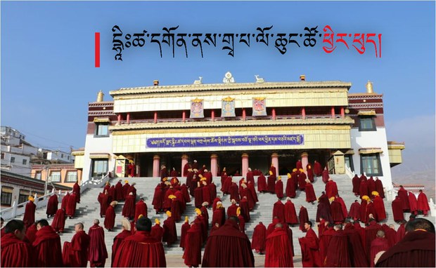 མདོ་སྨད་དྷཱིཿཚ་དགོན་པ་ནས་གྲྭ་པ་ལོ་ཆུང་ཚོ་ཕྱིར་ཕུད་ཀྱིས་རང་ཁྱིམ་དུ་བསྐྱེལ་ཡོད་འདུག