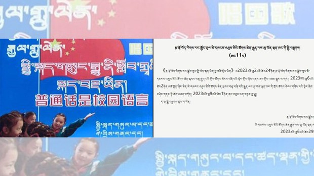 རྨ་ལྷོ་ཁུལ་བོད་སྐད་ཡིག་གི་སྲོལ་ཡིག་ཟེར་བར་འགྱུར་བཅོས་བཏང་སྟེ་རྒྱ་ཡིག་དར་སྤེལ་གཏོང་དགོས་པ་གཙོ་འདོན་བྱས་འདུག