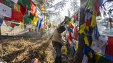 བོད་དིང་རིའི་ས་ཡོམ་གོད་ཆག་ཁྲོད་གནོད་སྐྱོན་འཕོག་མཁན་རྣམས་ལ་གདུང་སེམས་མཉམ་སྐྱེད་མཚོན་ཆེད་བཙན་བྱོལ་བོད་མི་ཚོས་འདི་ལོའི་ལོ་གསར་ལ་རྒྱས་སྤྲོས་གནང་རྒྱུ་མིན་པ་གསུང་གི་འདུག