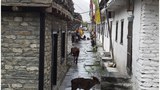 བལ་ཡུལ་མཐའ་མཚམས་ཀྱི་བོད་མིའི་གཞིས་ཆགས་བློ་ཚེ་རོག ༢༠༡༦