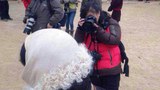 བོད་ནང་འབྱོར་བའི་རྒྱ་རིགས་ཡུལ་སྐོར་སྤྲོ་འཆམ་པ་ཞིག