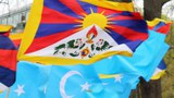 ཡུ་གུར་བའི་ཚོགས་པ་ཁག་གིས་བོད་མིའི་རང་དབང་སྒེར་ལངས་གསུམ་བཅུའི་དུས་དྲན་ཉིན་བོད་མིར་ཚོར་གདུང་སེམས་མཉམ་སྐྱེད་ཞུས་འདུག