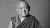སྐྱབས་རྗེ་བླ་མ་༧ཐུབ་བསྟན་བཟོད་པ་རིན་པོ་ཆེ་མཆོག་གི་མཛད་འཕྲིན།