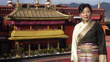 དུས་ལོག་བཙན་བྱོལ་བོད་མིའི་ངག་རྒྱུན་ལོ་རྒྱུས་ཕྱོགས་བསྡུས།