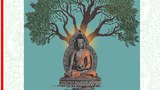 སངས་རྒྱས་ཀྱི་མཛད་རྣམ་ངོ་སྤྲོད།