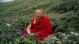༧ཀིརྟི་རིན་པོ་ཆེའི་འཁྲུངས་སྐར་སྲུང་བརྩི་གནང་བ།