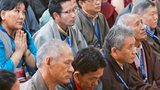 ཆེས་མཐོའི་སྨན་པའི་ལྷན་ཚོགས།