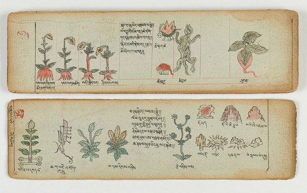 ཏོག་དབྱིབས་ནད་ཡམས་དང་བོད་སྨན་གྱི་རྫས་སྔགས་ཟུང་འབྲེལ་དགོས་སྐོར། ཏོག་དབྱིབས་ནད་ཡམས་དང་བོད་སྨན་གྱི་རྫས་སྔགས་ཟུང་འབྲེལ་དགོས་སྐོར།