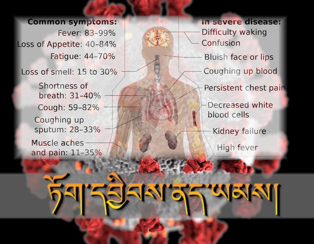 གཉན་ཚད་ལས་བྱུང་པའི་ནད་རིགས་ཁག་ལ་སྔོན་འགོག