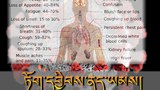 གཉན་ཚད་ལས་བྱུང་པའི་ནད་རིགས་ཁག་ལ་སྔོན་འགོག