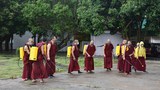 འབྲས་སྤུངས་སྒོ་མང་གྲྭ་ཚང་དུ་ཏོག་དབྱིབས་ནད་དུག་འགོས་ཁྱབ།