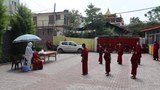 ཏོག་དབྱིབས་ནད་ཡམས་ཀྱིས་མི་རྒྱུ་གཉིས་ལ་གནོད་འཚེ།