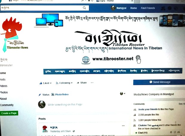 དེ་ཕོ་རྒྱལ་སྤྱིའི་བོད་ཡིག་གསར་འགྱུར་གྱི་བྱུང་རིམ་དང་དམིགས་ཡུལ།