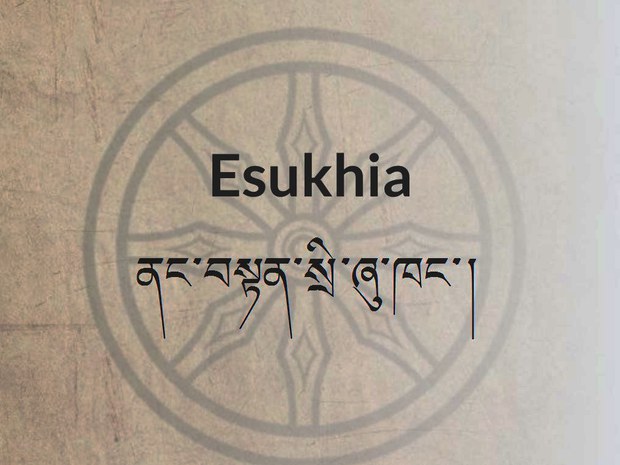 ནང་བསྟན་སྲི་ཞུ་ཁང་།