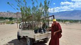 ཁོར་ཡུག་སྔོ་ལྗང་ངམ་“Go་Green”ཞེས་པའི་ལས་གཞི།