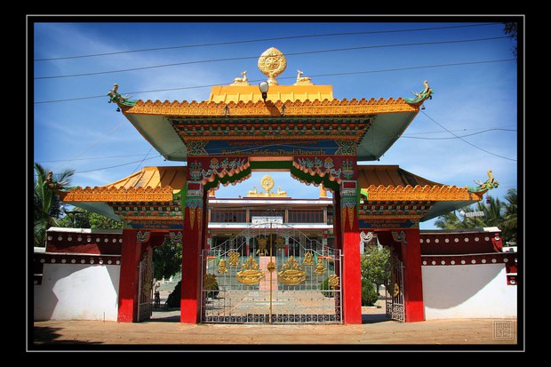 འབྲས་སྤུངས་སྒོ་མང་གྲྭ་ཚང་གྱི་ཟབ་སྦྱོང་གནང་བ།
