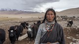ས་མཐོ་པོར་སྡོད་མཁན་མིའི་རིགས་ལ་ཏོག་དབྱིབས་ནད་ཡམས་འགོས་ཁག་པ།