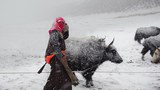 བོད་ནང་གི་ཞིང་འབྲོག་མང་ཚོགས་ནས་དགུན་དུས་ལུས་པོ་དྲོ་བཅོས་བྱ་ཕྱོགས།