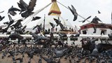 མཐའ་མེད་བྱང་སེམས་རོགས་སྐྱོར་ཚོགས་པ།