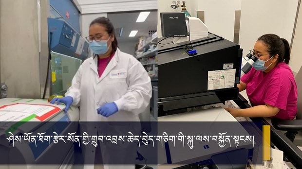 ཤེས་ཡོན་ཐོག་རྩེར་སོན་གྱི་གྲུབ་འབྲས་ཆེད་བེུད་གཅིག་གི་སྐུ་ལས་བསྐྱོན་སྟངས། ཤེས་ཡོན་ཐོག་རྩེར་སོན་གྱི་གྲུབ་འབྲས་ཆེད་བེུད་གཅིག་གི་སྐུ་ལས་བསྐྱོན་སྟངས།