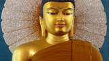 ས་ག་ཟླ་བའི་ངོ་སྤྲོད།