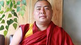  བལ་ཡུལ་ནང་གི་རྟ་མང་མི་རིགས་ཀྱི་ལོ་རྒྱུས།