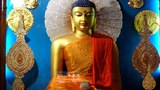 ས་ག་ཟླ་བའི་ངོ་སྤྲོད།