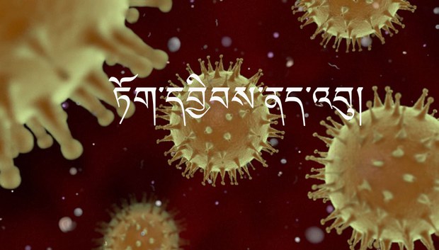 ཏོག་དབྱིབས་ནད་འབུ་འགོས་པའི་བོད་པའི་ནད་པ་ཞིག་གིས་ན་བའི་སྐབས་ཀྱི་ན་ལུགས་ན་སྟངས་ངོ་སྤྲོད་གནང་བ།