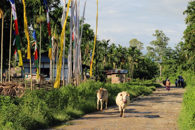 ཁྲོམ་རྭ་གསར་རྒྱག་དང་གཞིས་མིར་ཕན་ཐོགས།