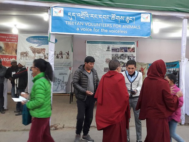 དུད་འགྲོའི་རང་དབང་ཚོགས་ཆུང་གི་ལས་འགུལ། དུད་འགྲོའི་རང་དབང་ཚོགས་ཆུང་གི་ལས་འགུལ།