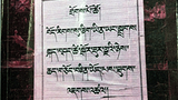 འགོག་རྒོལ་ཀྱི་བྱེད་ལས་ཆུང་རྩག