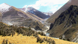 བོད་ནང་རྒྱ་མིའི་གཏེར་ཁ་སྔོག་ལས།