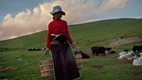 བོད་ཀྱི་ཞིང་འབྲོག་ཚོས་སྨན་ཁང་བསྟེན་གཏུགས་ཀྱི་དཀའ་ངལ།