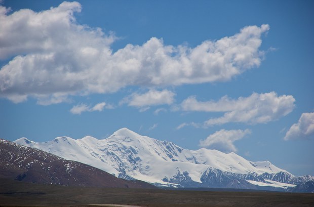 རྨ་ཆེན་སྤོམ་རའི་གངས་ཀྱི་ཞི་ཚད་དེ་ལོ་རེར་ཁྲུ ༥༡ ཡིན་པ།