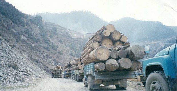 རྒྱ་ནག་གཞུང་གི་སྲིད་བྱུས་ལག་ལེན་བསྟར་བཞིན་པའི་འོག་བོད་ཀྱི་ཁོར་ཡུག་ལ་གཏོར་བཤིག