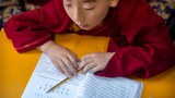 གྲངས་ཉུང་མི་རིགས་ཁག་རྩ་མེད་བཟོ་རྒྱུའི་ཤེས་ཡོན་གྱི་སྲིད་ཇུས།