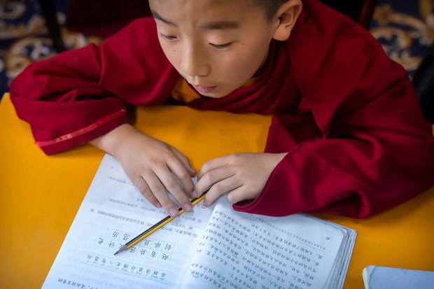 གྲངས་ཉུང་མི་རིགས་ཁག་རྩ་མེད་བཟོ་རྒྱུའི་ཤེས་ཡོན་གྱི་སྲིད་ཇུས།