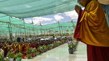 དུས་འཁོར་དབང་ཆེན་ཐེངས་༣༣པའི་སྐབས་བོད་ནང་དམ་བསྒྲགས་བྱས་པ།